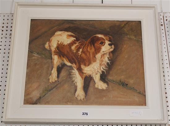 Oil of Spaniel